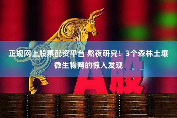 正规网上股票配资平台 熬夜研究！3个森林土壤微生物网的惊人发现